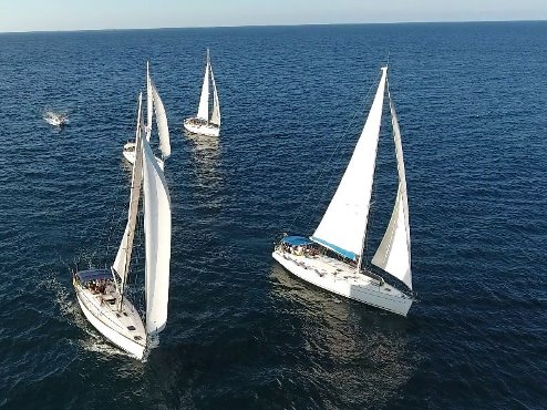 Photo Flotilla Charters in Malta, group sailing charters in Malta